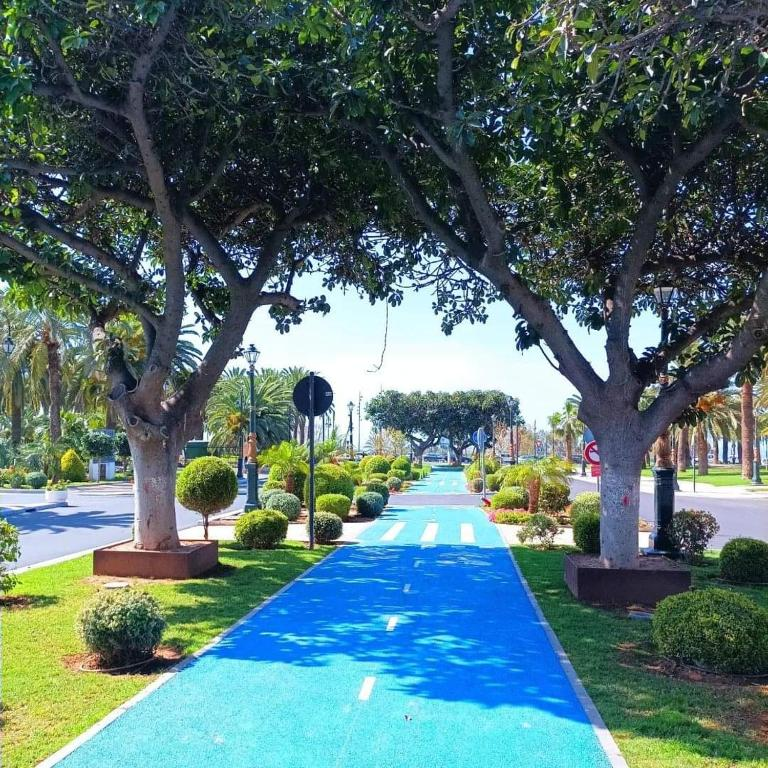 Tree-lined avenue in Agadir