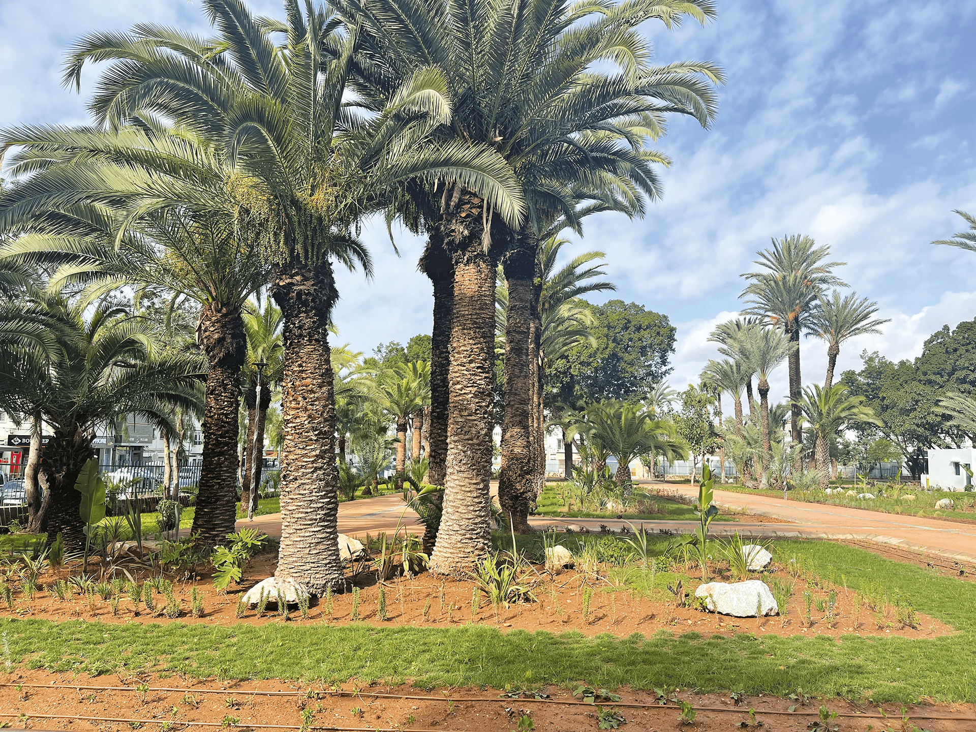 Olhão & Lalla Meryem Gardens