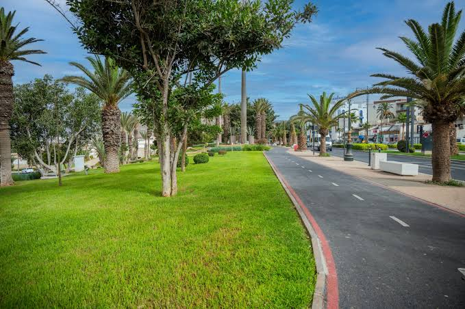 City-Wide Green Infrastructure Programme