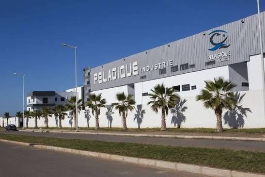 Haliopolis + Agropole + Drarga Employment Cluster
